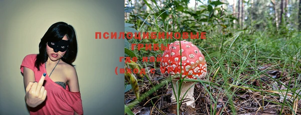 MESCALINE Алзамай