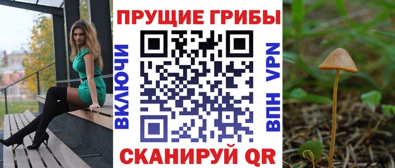 нарко площадка формула  где купить наркоту  Обоянь  Псилоцибиновые грибы Psilocybe 